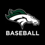 Eagle Mustangs Baseball